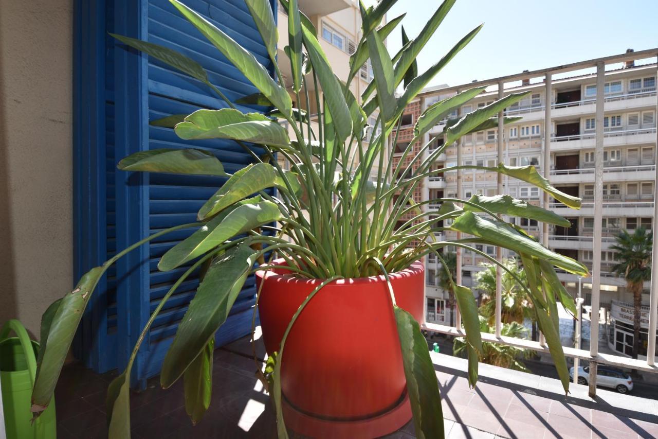 Ferienwohnung Le Gambetta Toulon Exterior foto